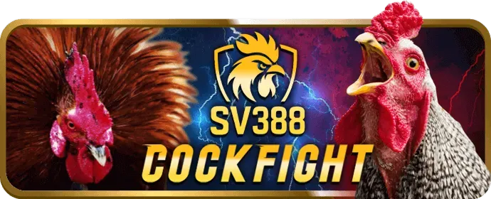 Phân tích ưu điểm và tính năng độc đáo của by88 apk